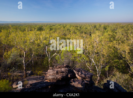 Blick auf den Wald rund um Nourlangie Rock, Kakadu-Nationalpark, Northern Territory Stockfoto