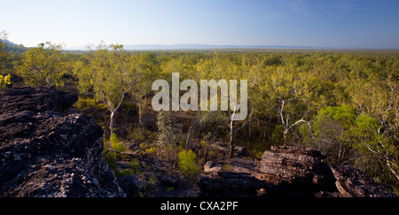 Blick auf den Wald rund um Nourlangie Rock, Kakadu-Nationalpark, Northern Territory Stockfoto