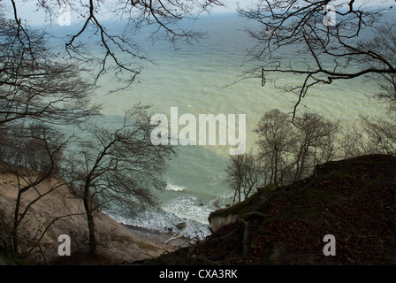 Blick auf die Kreidefelsen im Nationalpark Jasmund, Sassnitz, Rügen, Deutschland Stockfoto