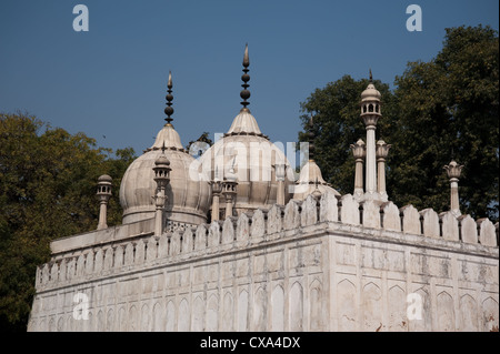 Minarette und die Struktur der Perle Moschee innen rote Fort. Dies war eine Moschee von Aurangzeb für seinen persönlichen Gebrauch gebaut. Stockfoto