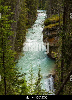 ALBERTA, Kanada - Johnston Canyon im Banff National Park. Stockfoto