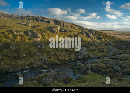 Die Felsbrocken übersäte steilen einseitige Tal des East Dart River über zwei Brücken, Dartmoor National Park, Devon, England. Stockfoto