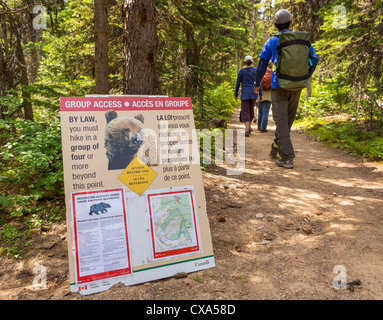 ALBERTA, Kanada - Bär Aktivität Warnschild am Trail in Paradise Valley im Banff National Park. Stockfoto