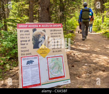 ALBERTA, Kanada - Bär Aktivität Warnschild am Trail in Paradise Valley im Banff National Park. Stockfoto