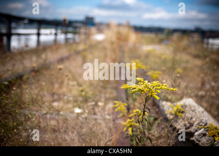 Das dritte Segment der High Line Park Bespannung West Westen 30. 34. Straße in New York Stockfoto