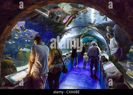 Sea Life Aquarium in der Mall of America in Bloomington, Minneapolis, Minnesota, USA