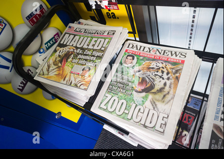 Die New York Daily News und die New York Post Titelseiten Bericht über eine Person, die einen Sprung in der Tiger-Höhle in der Bronx Zoo Stockfoto