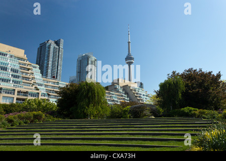 Der CN Tower aus der Harbourfront Musik Garten sehen. Stockfoto