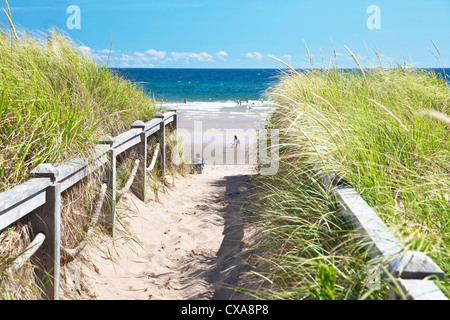 Weg zum Strand von Basin Head, Prince Edward Island, Kanada. Stockfoto