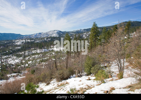 Schneebedeckte Berge in Kalifornien. Stockfoto