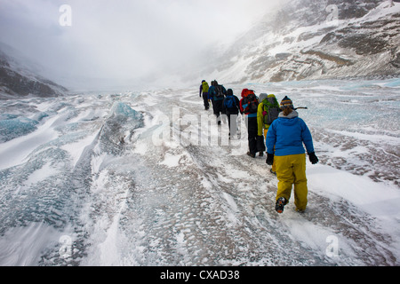 Gruppe von Menschen wandern am Athabasca Gletscher, Columbia Icefield zwischen Banff und Jasper Nationalparks, Kanada Stockfoto