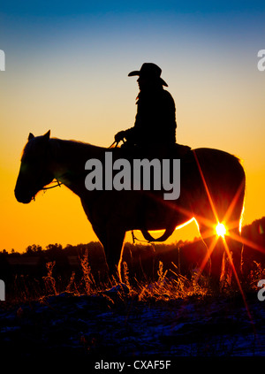 Cowboy auf Pferd bei Sonnenaufgang auf einer Ranch in Hulett, Wyoming Stockfoto