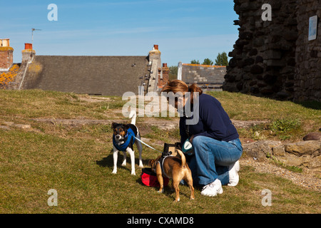 Der große Turm der Burg Christchurch, Symbol der normannischen macht ursprünglich aus Holz Holz über 1100 n. Chr. Dorset England gebaut Stockfoto