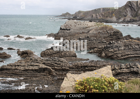Hartland Punkt Klippen und Strand Stockfoto