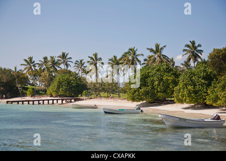 Strand, Cayo Levantado, Bucht von Samana, Dominikanische Republik, große Antillen, West Indies, Karibik, Mittelamerika Stockfoto