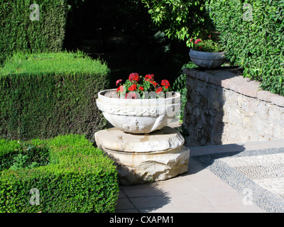 Blumen in Stein Schüssel im Garten, Alcazar, Cordoba. Stockfoto