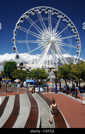 Riesenrad, die Waterfront, Cape Town, Südafrika, Afrika Stockfoto