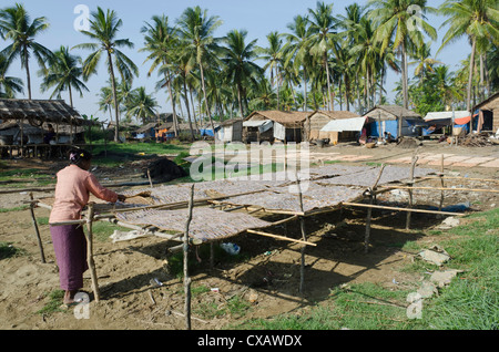 Frau Fisch zum Trocknen in die Sonne legen legen Win Kwin Dorf, Irrawaddy-Delta, Myanmar (Burma), Asien Stockfoto