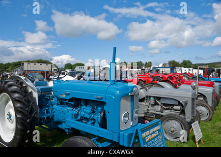 Alte, restaurierte Traktormaschinen werden auf dem Messegelände von Egton im Sommer ausgestellt North Yorkshire England Großbritannien Großbritannien Großbritannien Großbritannien Großbritannien Großbritannien Großbritannien Stockfoto