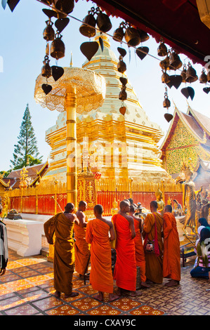 Gruppe von buddhistischen Mönche beten am Tempel Wat Doi Suthep, Chiang Mai, Thailand, Südostasien, Asien Stockfoto