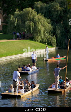 Bootfahren auf dem Rücken, Fluss Cam, Clare College, Cambridge, Cambridgeshire, England, Vereinigtes Königreich, Europa Stockfoto