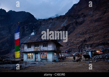 Teehaus nachts beleuchtet hoch in den Bergen, Langtang Dorf, Nepal Stockfoto