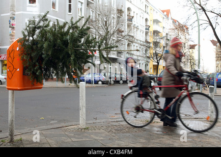 Berlin, Tannenbaum in einem Papierkorb setzen können, die BSR Stockfoto