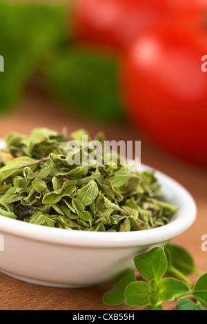 Getrockneter Oregano Blätter in kleine Schüssel mit frischem Oregano auf der Seite, Tomate und Basilikum in den Rücken Stockfoto