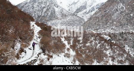 Frau, die einen Weg in den Schnee, Langtang Nationalpark, Nepal trekking Stockfoto