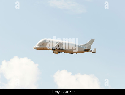 Airbus Transport International Airbus Beluga A300-608ST Super Transporter Flugzeug F-Entrepreneurship Abflug Toulouse Blagnac Frankreich Stockfoto