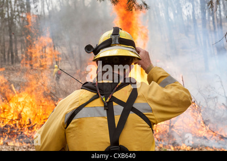 Feuerwehr durchführen eine kontrolliertere Verbrennung durch ein Feuer in einem Wald ab. Stockfoto