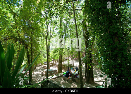 ALGARVE, PORTUGAL. Eine Familie Stege in Wäldern in der Spa-Dorf von Caldas de Monchique. 2012. Stockfoto
