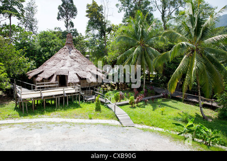 Traditionelles Haus in Sarawak Cultural Village, Borneo Stockfoto