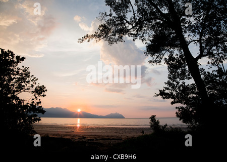 Sonnenuntergang im Bako Nationalpark, Borneo Stockfoto