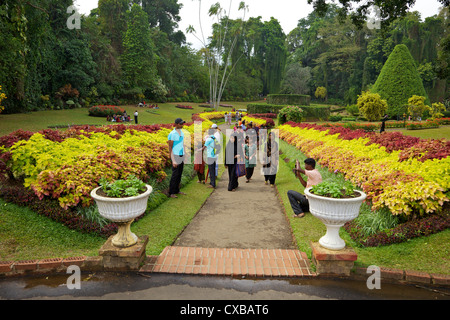 Besucher in den königlichen botanischen Garten in Peradeniya, Kandy, Sri Lanka, Asien Stockfoto