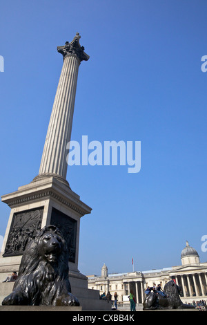 Löwe aus Bronze Statuen von Sir Edwin Landseer, Nelson Säule und National Gallery, Trafalgar Square, London, England Stockfoto