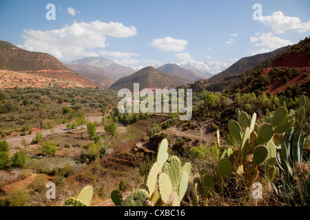 Schneebedeckten hohen Atlas-Gebirge, Afrika, Marokko, Nordafrika Stockfoto