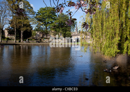 Fluss Wye, Bakewell, Derbyshire, England, Vereinigtes Königreich, Europa Stockfoto