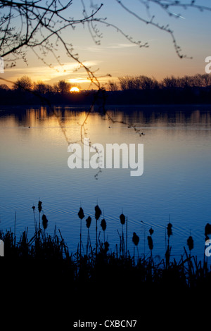 Sonnenaufgang über dem Kingsmill Reservoir, Sutton in Ashfield, Nottinghamshire, England, Vereinigtes Königreich, Europa Stockfoto