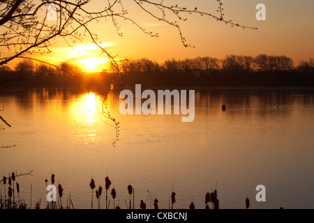 Sonnenaufgang über dem Kingsmill Reservoir, Sutton in Ashfield, Nottinghamshire, England, Vereinigtes Königreich, Europa Stockfoto