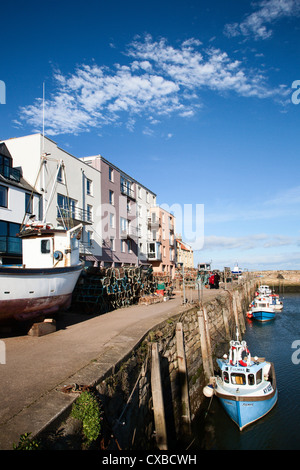 Hafen St. Andrews, St. Andrews, Fife, Schottland, Vereinigtes Königreich, Europa Stockfoto