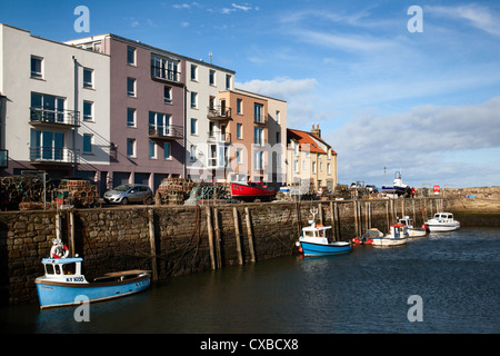 Hafen St. Andrews, St. Andrews, Fife, Schottland, Vereinigtes Königreich, Europa Stockfoto