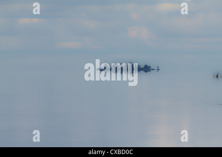 Lake Võrtsjärv, Sonnenuntergang, Wolke, Wolken, Spiegelung, Schatten, Wasser, See, abends, still, ruhig, Insel, Tondisaar, Stockfoto