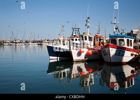 Angelboote/Fischerboote im Hafen, Scarborough, North Yorkshire, Yorkshire, England, Vereinigtes Königreich, Europa Stockfoto