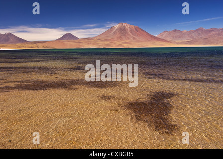 Elk198-2192 Chile, San Pedro Atacama, Miscanti Minques Reserve, Lago Minques See Stockfoto