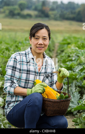 Reife asiatische Frauen, die Ernte von frischen Zucchini und Gurken mit Feld im Hintergrund Stockfoto