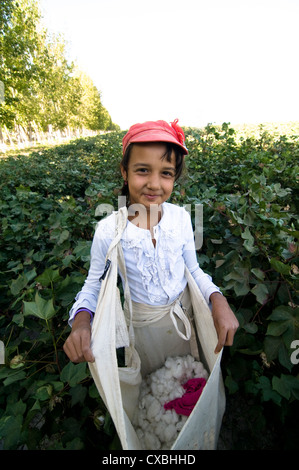 Usbekische Frauen arbeiten in den Baumwollfeldern in zentralen Usbekistan. Stockfoto