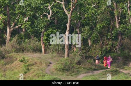 Nepalesische Frauen nach Hause laufen über einen Waldweg, Chitwan Nationalpark, Nepal Stockfoto