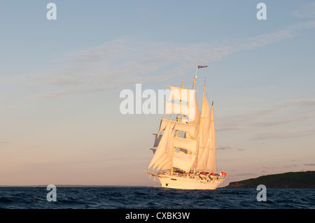 Star Clipper Segeln Kreuzfahrtschiff, Terre de Haut, Iles des Saintes, Guadeloupe, Westindische Inseln, französische Karibik, Frankreich Stockfoto