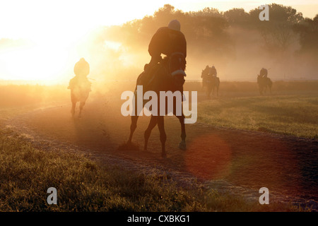 Iffezheim, Reiter und Pferde bei der Fahrt in den Morgen Stockfoto